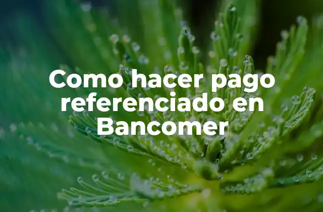 Como Hacer Pago Referenciado en Bancomer