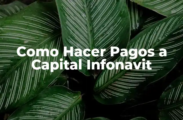 Como Hacer Pagos a Capital Infonavit