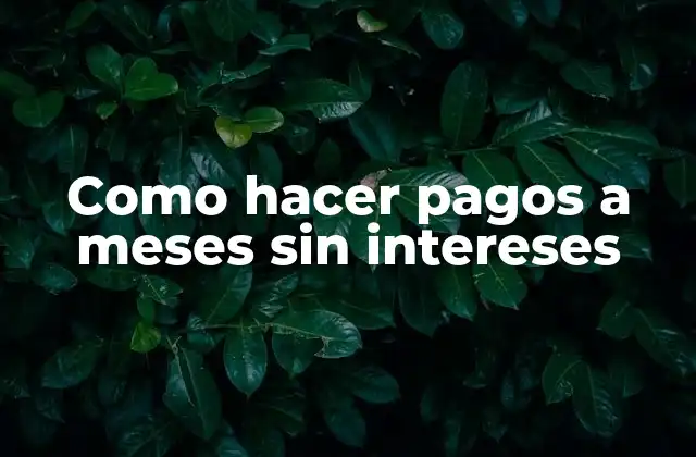 Como Hacer Pagos a Meses sin Intereses