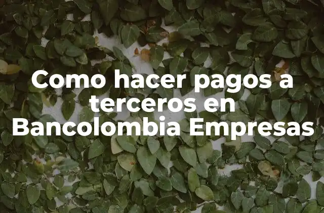 Como Hacer Pagos a Terceros en Bancolombia Empresas