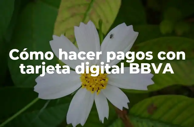 Cómo Hacer Pagos con Tarjeta Digital Bbva