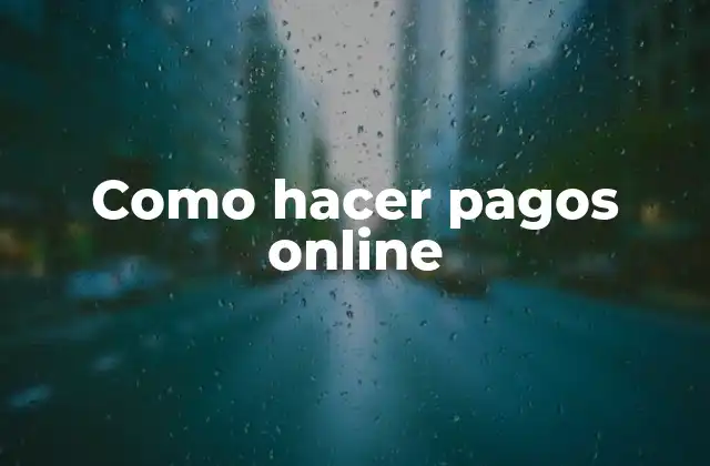 Como Hacer Pagos Online