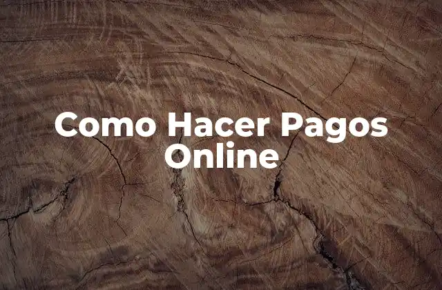 Como Hacer Pagos Online 2 Como Hacer Pagos Online