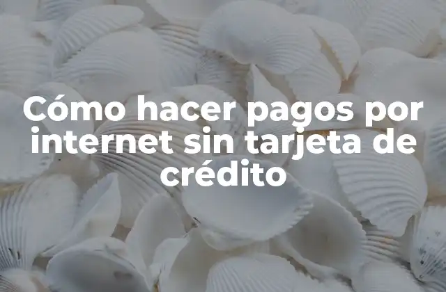 Cómo Hacer Pagos por Internet sin Tarjeta de Crédito