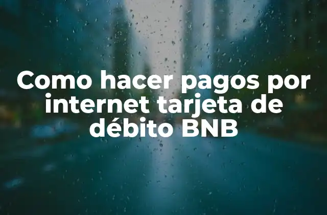 Como Hacer Pagos por Internet Tarjeta de Débito Bnb