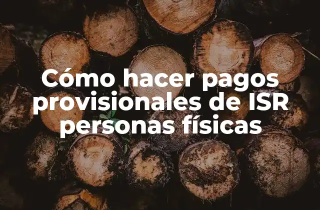 Cómo Hacer Pagos Provisionales de Isr Personas Físicas