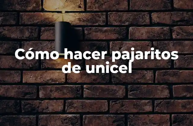 ¿Qué son los pajaritos de unicel?