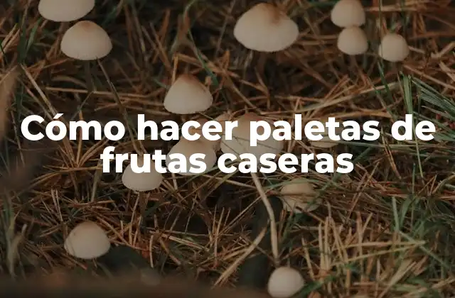 Cómo Hacer Paletas de Frutas Caseras