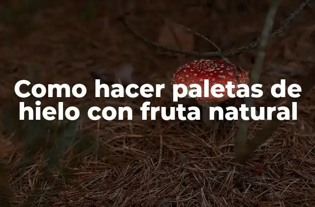 Como Hacer Paletas de Hielo con Fruta Natural