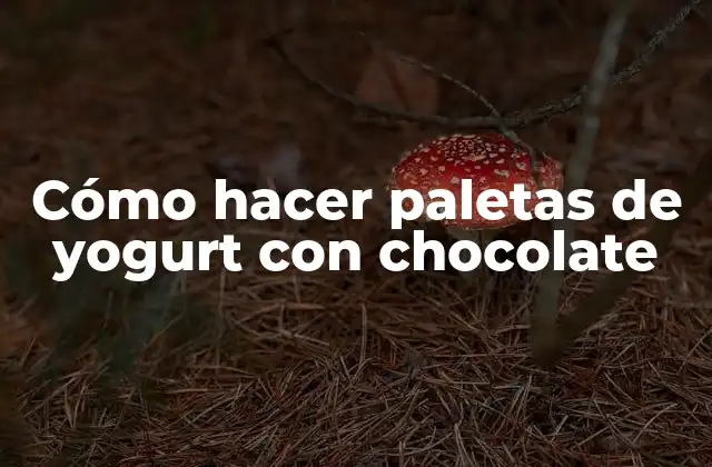 Cómo Hacer Paletas de Yogurt con Chocolate