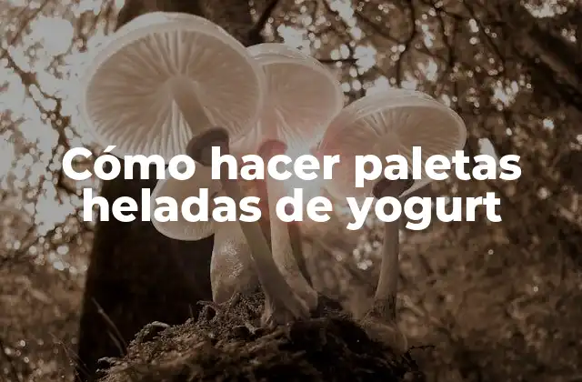 Cómo Hacer Paletas Heladas de Yogurt