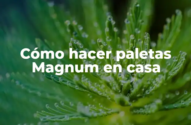 Cómo Hacer Paletas Magnum en Casa