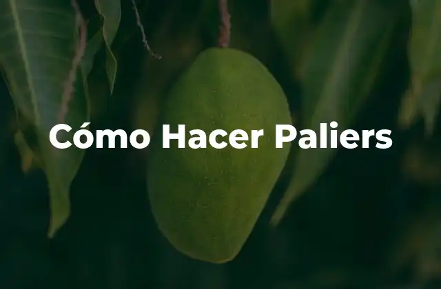 Cómo Hacer Paliers