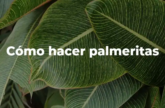 Cómo Hacer Palmeritas 2 ¿Qué son las palmeritas y para qué sirven?