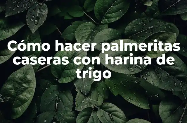 Cómo Hacer Palmeritas Caseras con Harina de Trigo