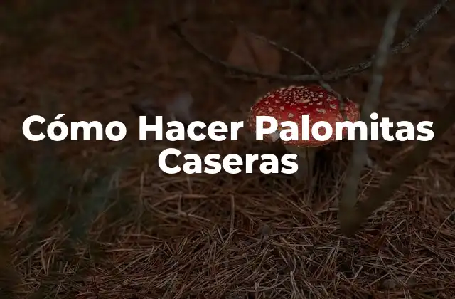 Cómo Hacer Palomitas Caseras