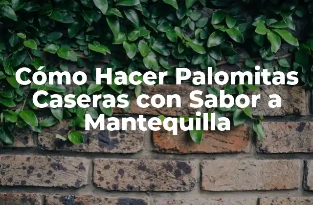 Cómo Hacer Palomitas Caseras con Sabor a Mantequilla