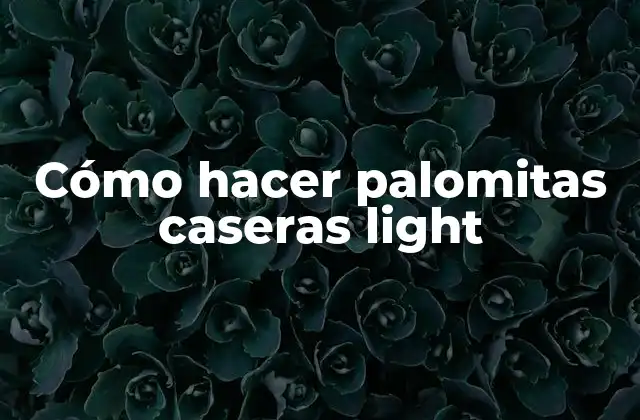 Cómo Hacer Palomitas Caseras Light