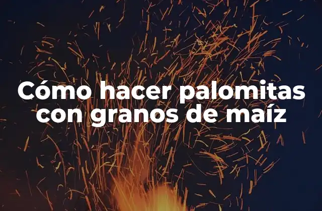Cómo Hacer Palomitas con Granos de Maíz