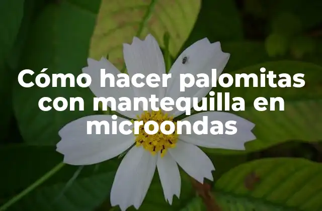 Cómo hacer palomitas con mantequilla en microondas