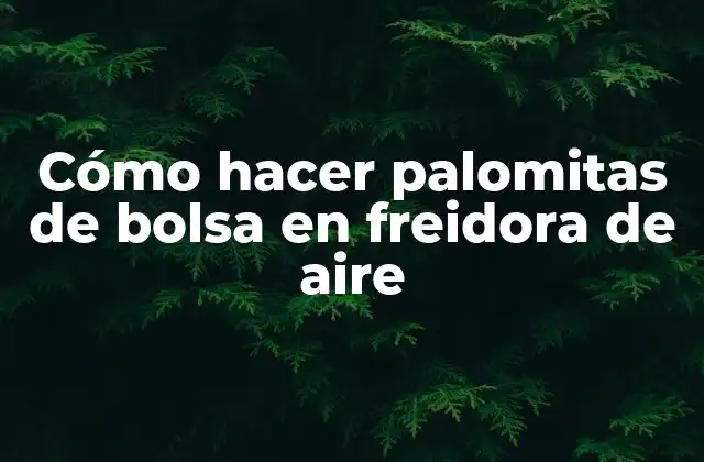 Cómo Hacer Palomitas de Bolsa en Freidora de Aire