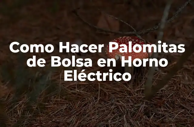 ¿Qué son las Palomitas de Bolsa y Cómo se Preparan en Horno Eléctrico?
