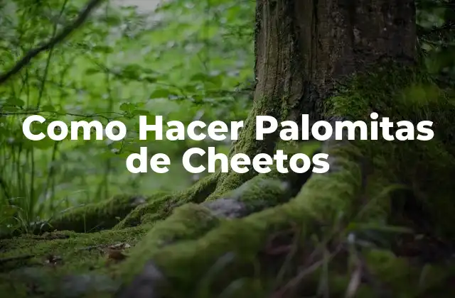 Como Hacer Palomitas de Cheetos