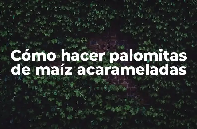 Cómo Hacer Palomitas de Maíz Acarameladas