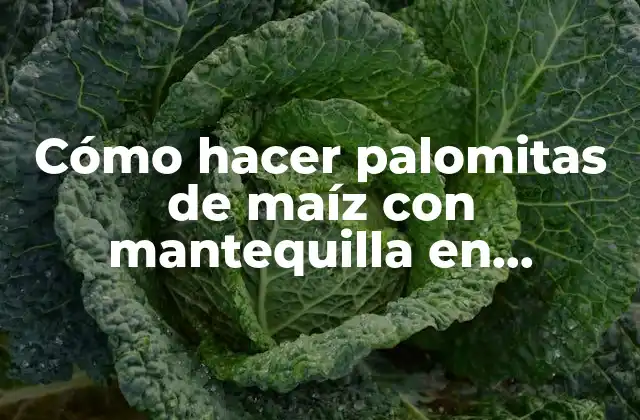Cómo Hacer Palomitas de Maíz con Mantequilla en Máquina