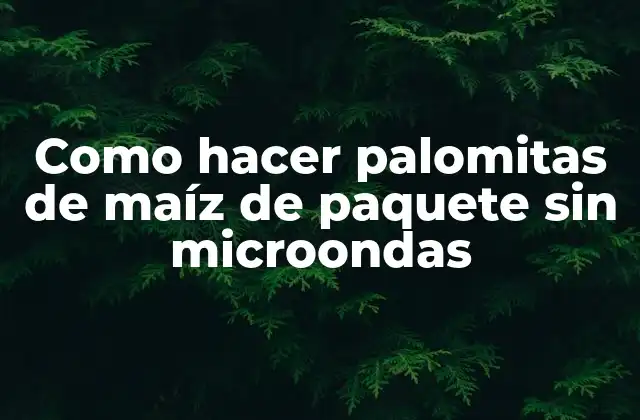 Como Hacer Palomitas de Maíz de Paquete sin Microondas 2 Como hacer palomitas de maíz de paquete sin microondas