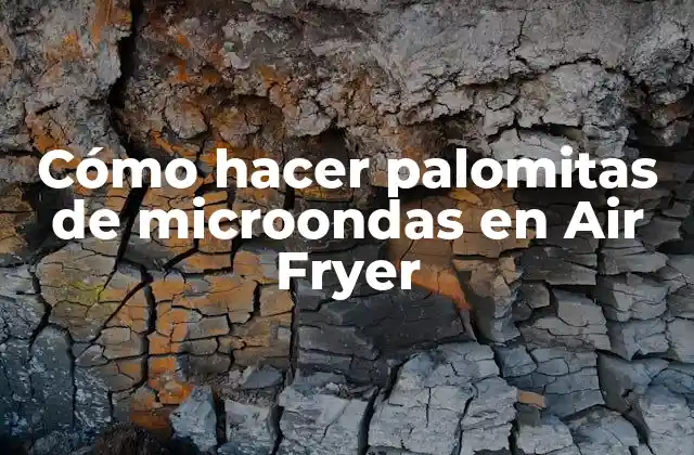 Cómo hacer palomitas de microondas en Air Fryer