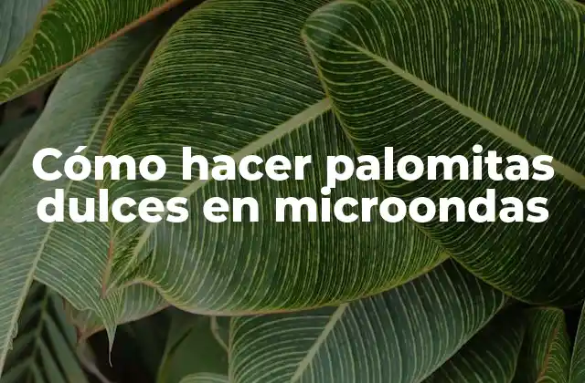 Cómo Hacer Palomitas Dulces en Microondas