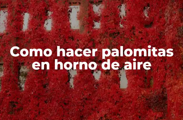 Como Hacer Palomitas en Horno de Aire