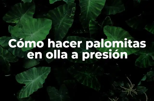 Cómo Hacer Palomitas en Olla a Presión