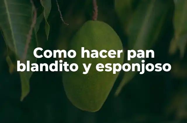 Como hacer pan blandito y esponjoso