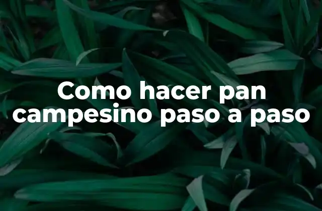 Como Hacer Pan Campesino Paso a Paso