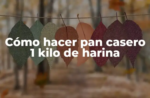 Cómo Hacer Pan Casero 1 Kilo de Harina