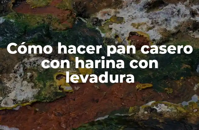 Cómo Hacer Pan Casero con Harina con Levadura
