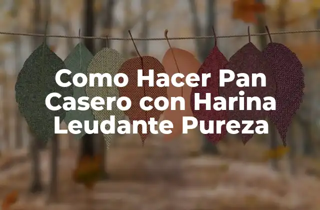 Como Hacer Pan Casero con Harina Leudante Pureza