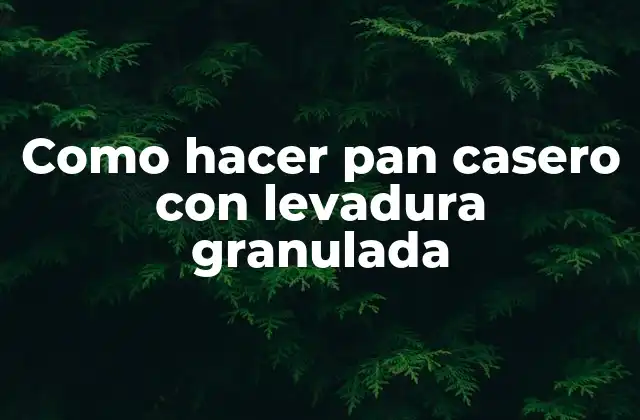Como Hacer Pan Casero con Levadura Granulada