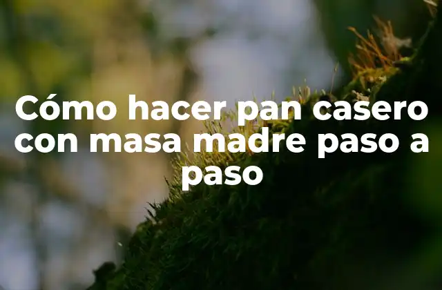 Cómo Hacer Pan Casero con Masa Madre Paso a Paso