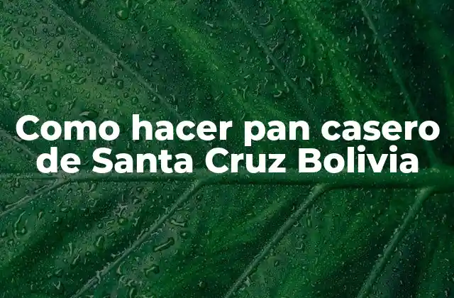 Como Hacer Pan Casero de Santa Cruz Bolivia