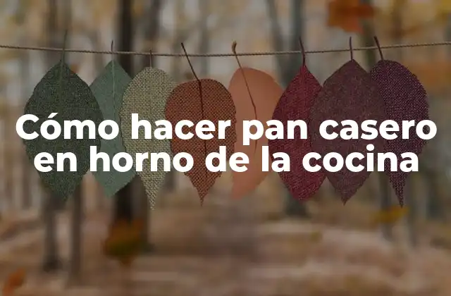 Cómo Hacer Pan Casero en Horno de la Cocina
