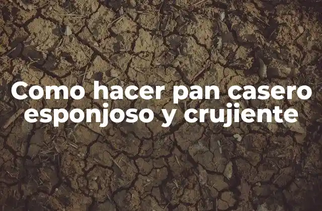 Como Hacer Pan Casero Esponjoso y Crujiente