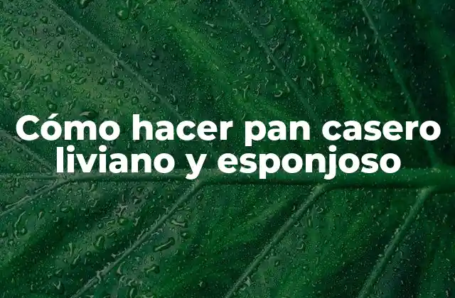 Cómo Hacer Pan Casero Liviano y Esponjoso