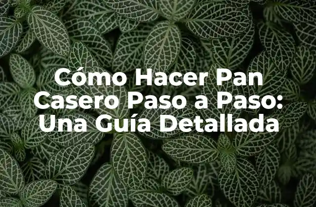 Cómo Hacer Pan Casero Paso a Paso: una Guía Detallada 2 ¿Por qué Debes Hacer Pan Casero?