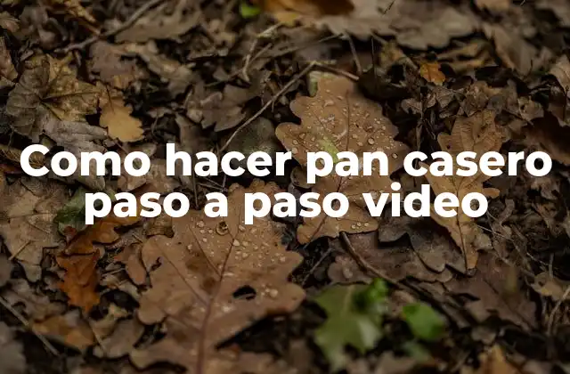 Como Hacer Pan Casero Paso a Paso Video