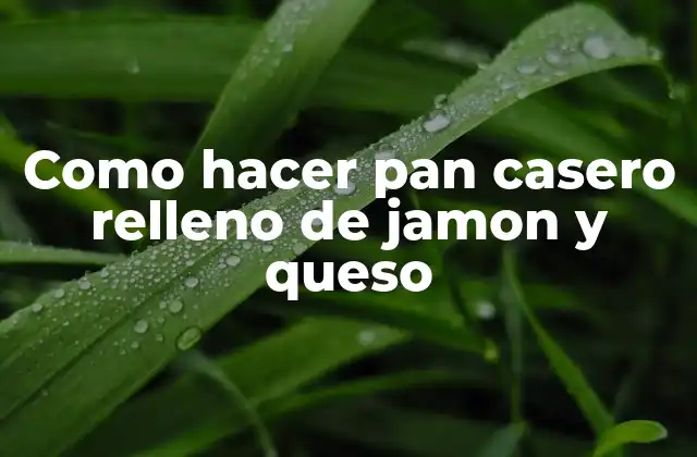 Como Hacer Pan Casero Relleno de Jamon y Queso