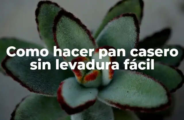 Como Hacer Pan Casero sin Levadura Fácil