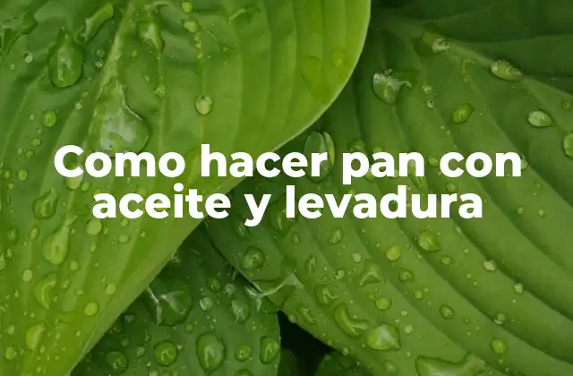 Como Hacer Pan con Aceite y Levadura